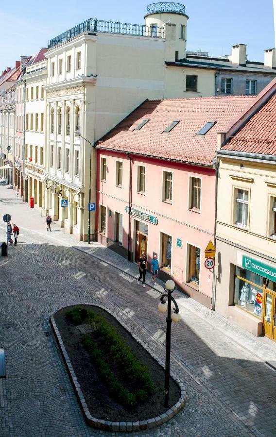 Super Komfortowe Mieszkanie - Mtb Narty Gory Sowie Dzierzoniow Exterior photo